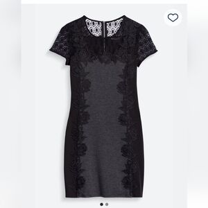 Elegant, Fitted Black and Gray Lace Dress